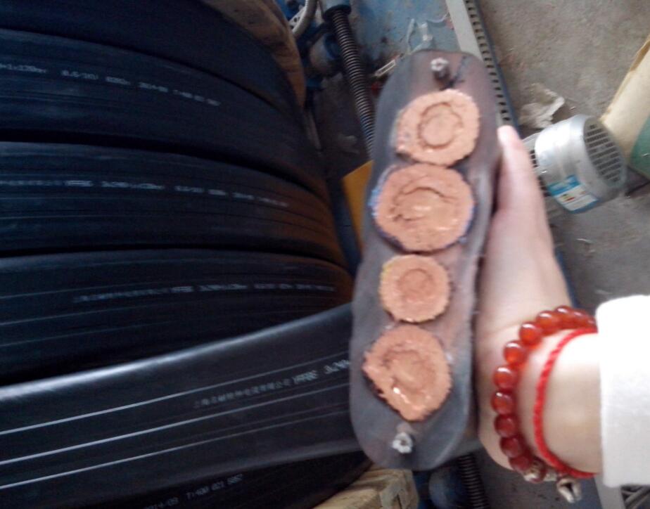 公海彩船6600(中国游)官方网站