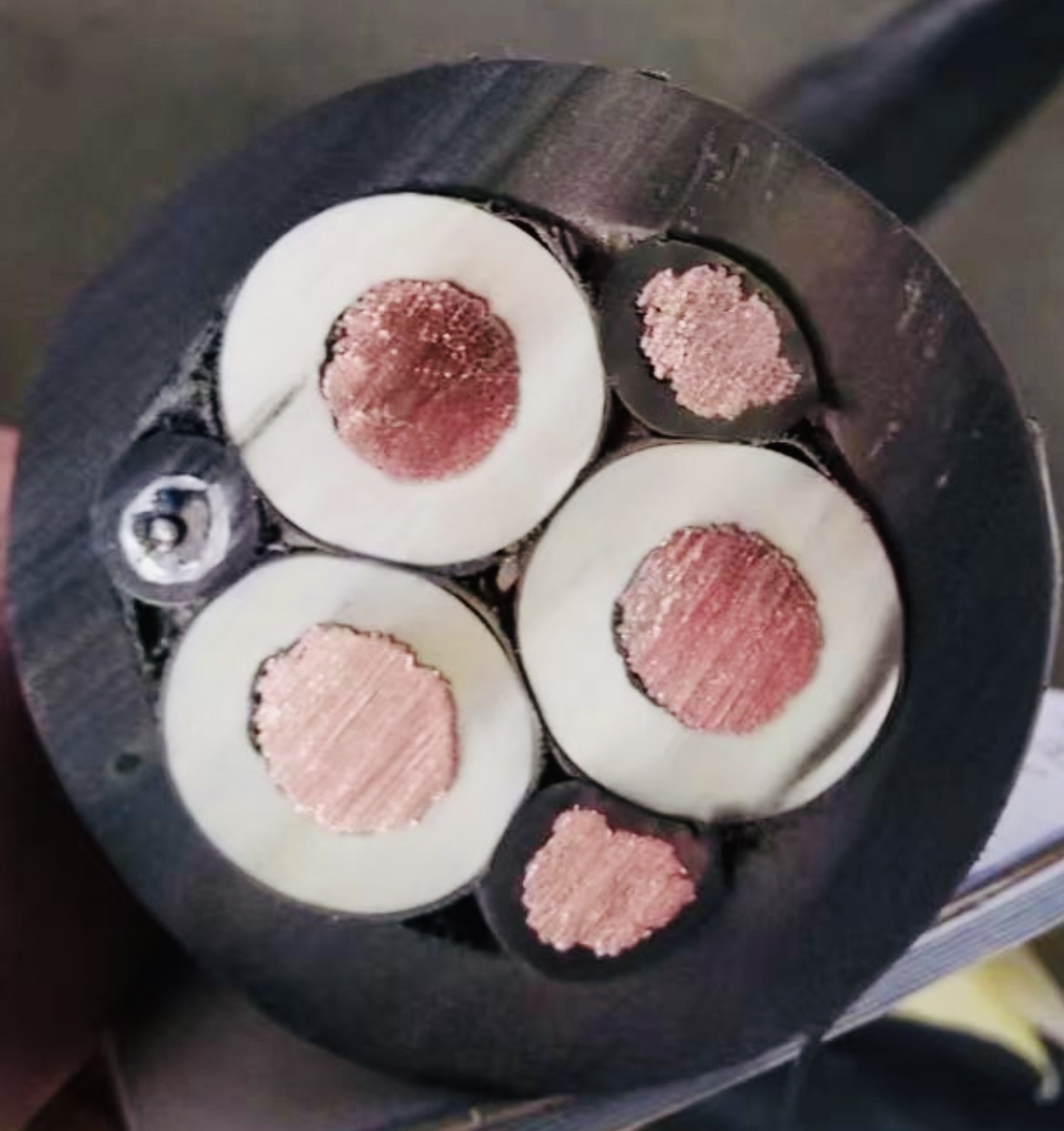 公海彩船6600(中国游)官方网站