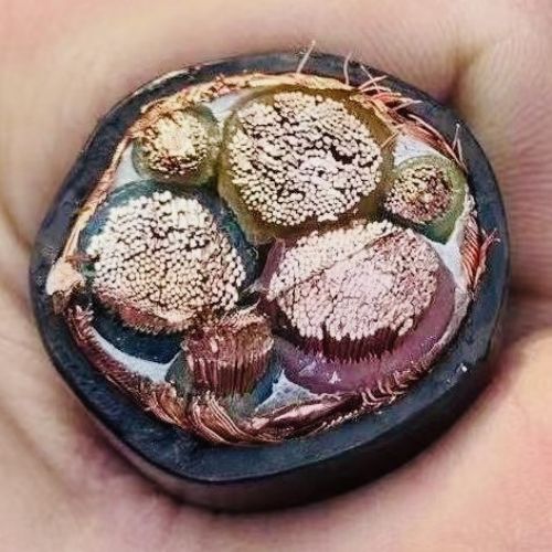 公海彩船6600(中国游)官方网站