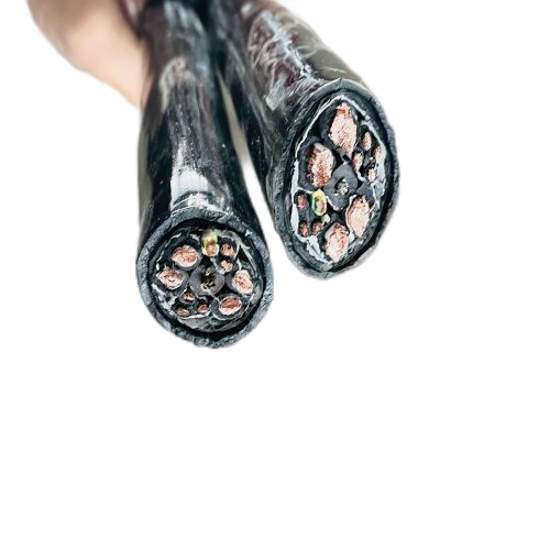 公海彩船6600(中国游)官方网站