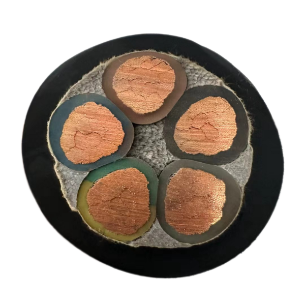 公海彩船6600(中国游)官方网站