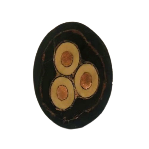 公海彩船6600(中国游)官方网站