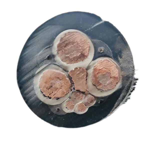 公海彩船6600(中国游)官方网站