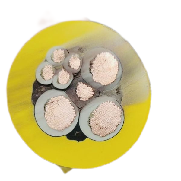 公海彩船6600(中国游)官方网站