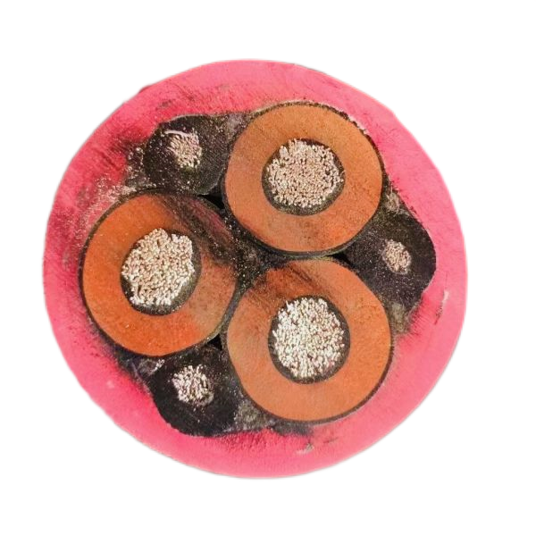 公海彩船6600(中国游)官方网站