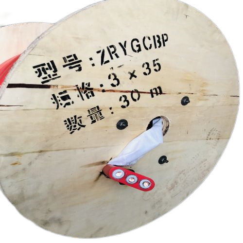 公海彩船6600(中国游)官方网站