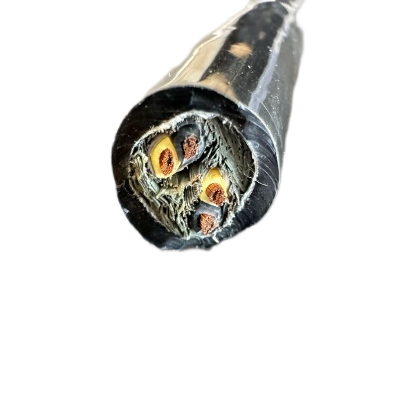 公海彩船6600(中国游)官方网站