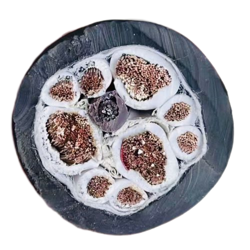 公海彩船6600(中国游)官方网站