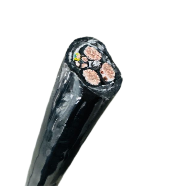 公海彩船6600(中国游)官方网站