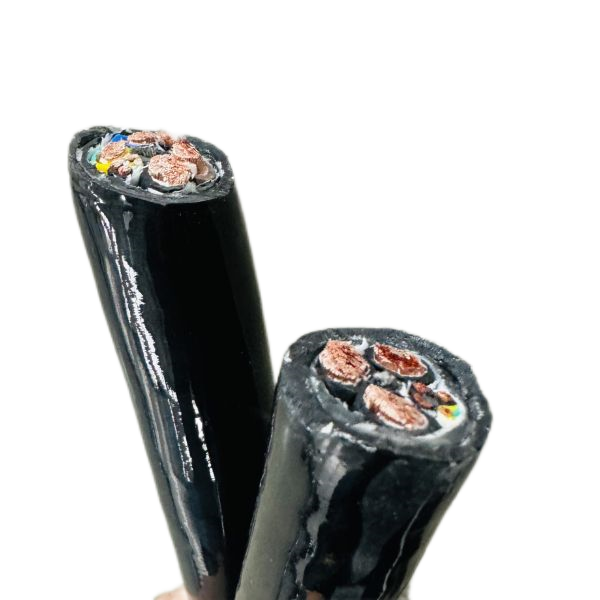 公海彩船6600(中国游)官方网站