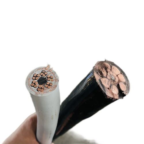 公海彩船6600(中国游)官方网站