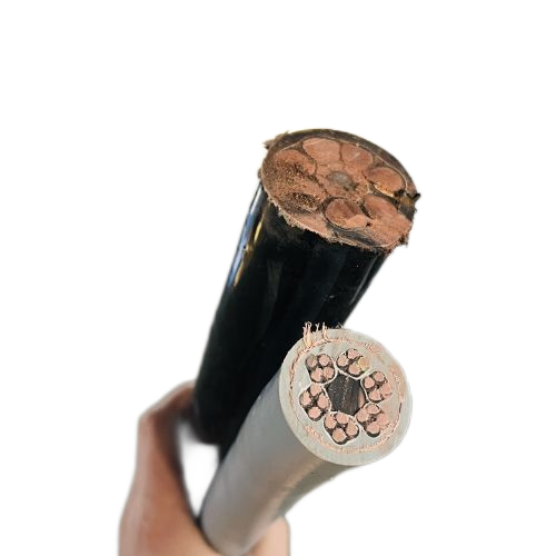 公海彩船6600(中国游)官方网站