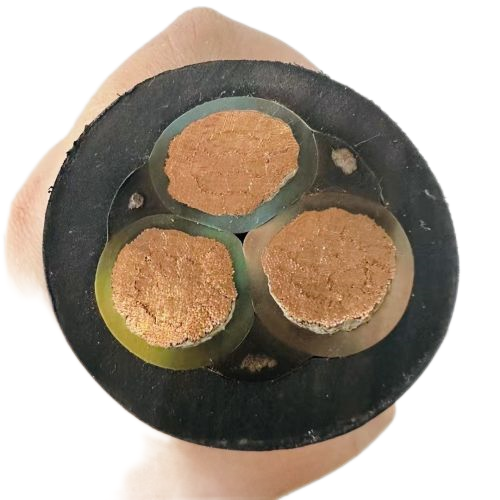 公海彩船6600(中国游)官方网站