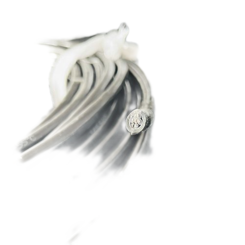 公海彩船6600(中国游)官方网站